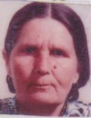 Hato Rekić